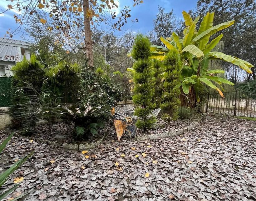 خرید ویلا باغ جنگلی همصفا چمستان ۳۰۰ متر زمین | ۳۰۰ متر