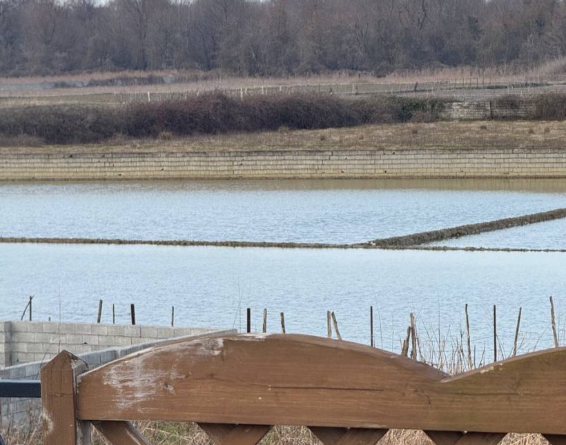 خرید ویلا آپادانا چمستان ۳۰۰ متری سند تک برگ جنگلی | ۳۰۰ متر