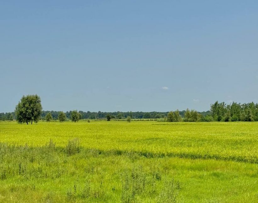 خرید ویلا فلت ۲۰۰ متری سند تک برگ بهدشت چمستان | ۲۰۰ متر