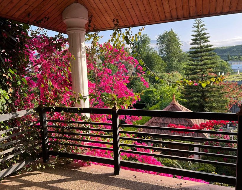 فروش باغچه‌ویلا با ویوی جنگل در شهرک چای‌باغ ونوش رویان | ۳۵۰ متر