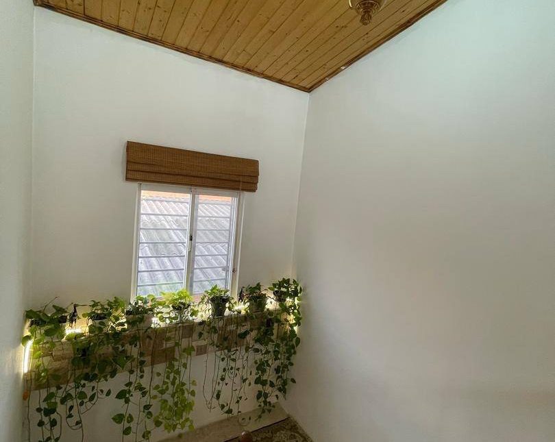 خرید باغ ویلا دوبلکس علی آباد نوشهر سند تک برگ جنگلی | ۲۲۰ متر