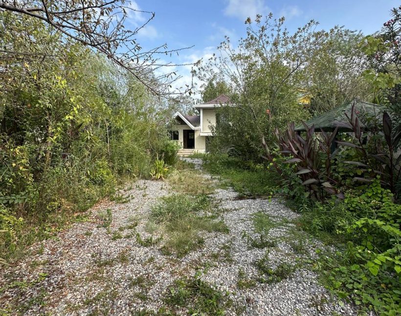 فروش باغ ویلا جنگلی بهدشت چمستان | ۶۰۰ متر