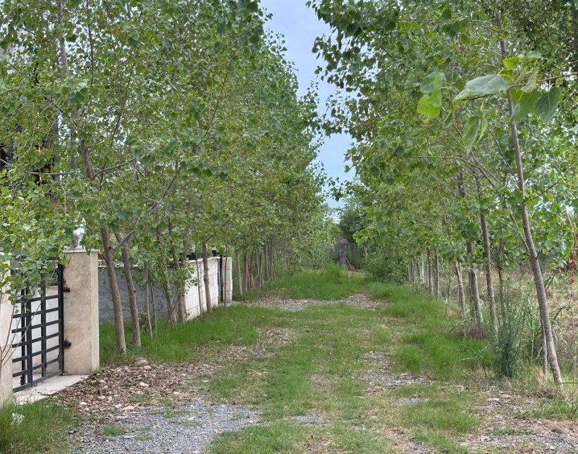 فروش ویلا آهودشت چمستان | ۱۷۰ متر