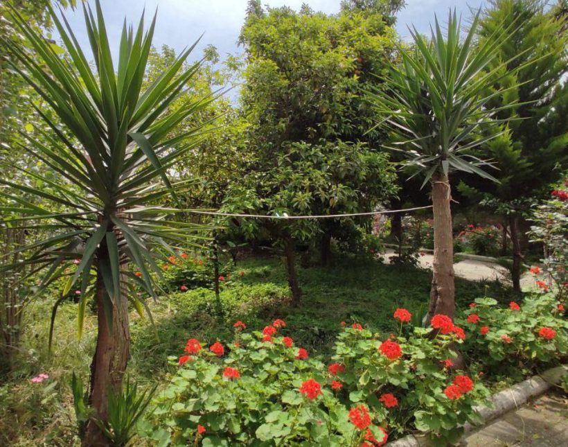 خرید ویلا در نور جاده دریا ۳۰۰ متری | ۳۰۰ متر