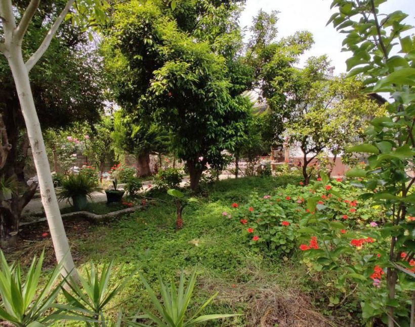 خرید ویلا در نور جاده دریا ۳۰۰ متری | ۳۰۰ متر