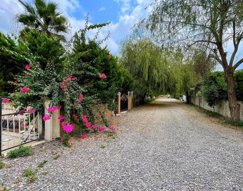 خرید ویلا باغ ۲۵۰ متری سند تک برگ جنگلی اسپیکلا چمستان | ۲۵۰ متر