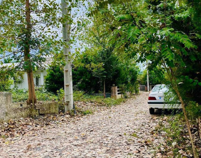 خرید ویلا قطعه یک جنگل در الیمالات نور | ۲۵۰ متر