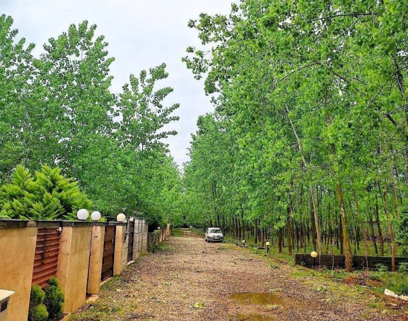 فروش ویلا تریبلکس در منطقه نور چمستان جنگلی همصفا | 270 متر