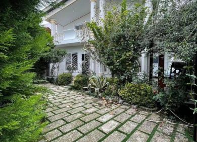 خرید ویلا قطعه یک جنگل در الیمالات نور | ۲۴۰ متر