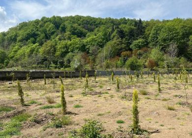 خرید زمین در واز چمستان | ۱۵۰ متر