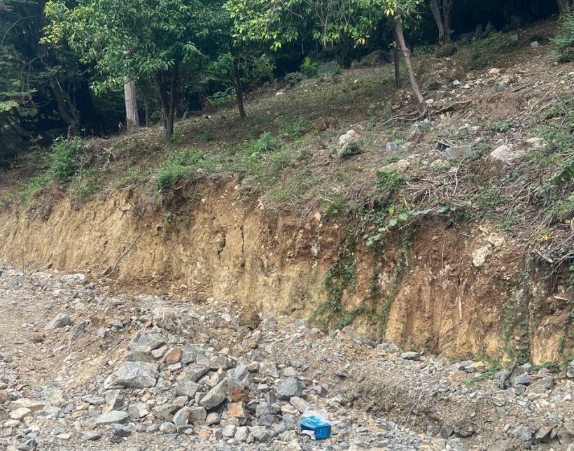 فروش زمین با قطعات دلخواه منطقه سیسنگان نوشهر | 450 متر