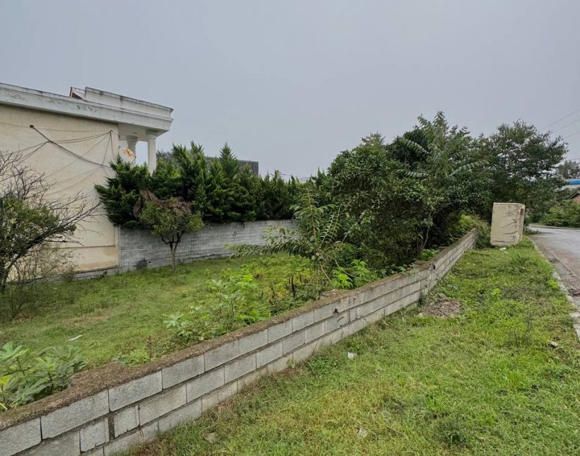 خرید زمین قطعه یک جنگل در سعادت آباد چمستان | ۷۰۰ متر