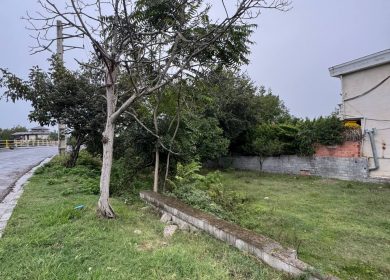 خرید زمین قطعه یک جنگل در سعادت آباد چمستان | ۷۰۰ متر