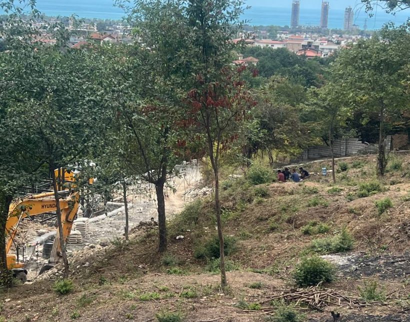 فروش زمین شهرکی خط اول جنگل سیسنگان بافت مسکونی | ۱۰۰۰ متر