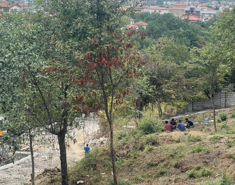 فروش زمین شهرکی خط اول جنگل سیسنگان بافت مسکونی | ۱۰۰۰ متر