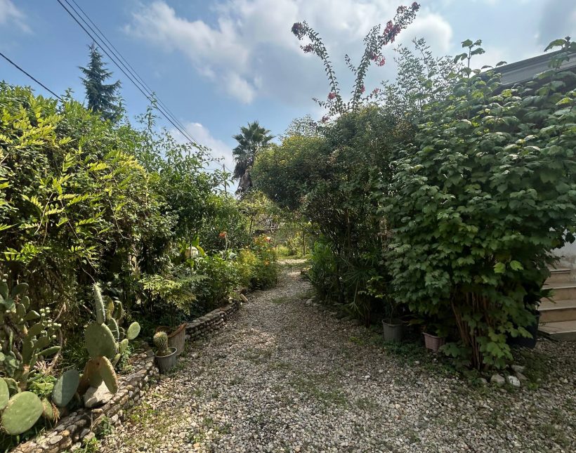 خرید ویلا باغ ۵۰۰ متری دلباز جنگلی بهدشت چمستان | ۵۰۰ متر