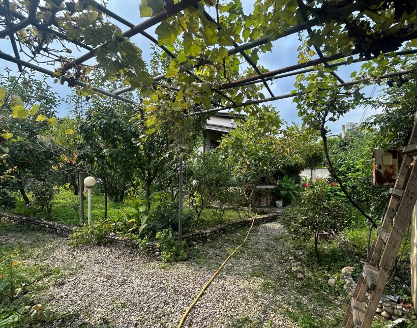 خرید ویلا باغ ۵۰۰ متری دلباز جنگلی بهدشت چمستان | ۵۰۰ متر