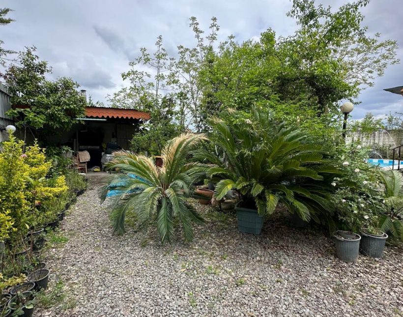 خرید باغ ویلا ۵۰۰ متری سعادت آباد چمستان اقساطی | ۵۰۰ متر