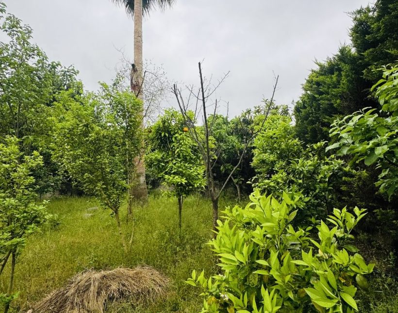 خرید ویلا باغی ۶۰۰ متری مبله کامل با استخر چهار فصل | ۶۰۰ متر