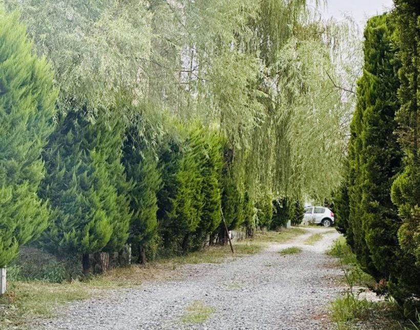 خرید ویلا ۲۵۰ متری کردآباد روف بهمراه جکوزی | ۲۵۰ متر