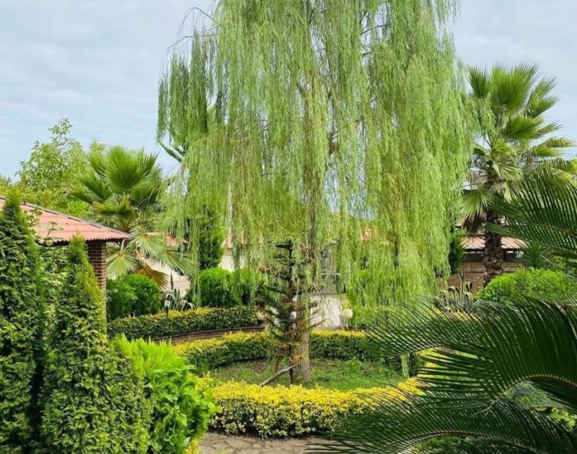 خرید ویلا باغ کلاسیک ۵۰۰متری مبله کامل شهرک برند جنگلی | ۵۰۰ متر