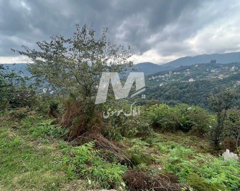 فروش زمین در منطقه گردشگری اربکله رامسر | 498 متر