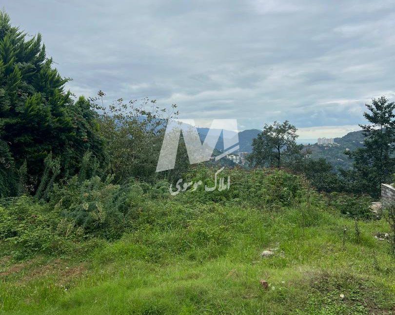 فروش زمین در منطقه توریستی اربکله رامسر | 600 متر