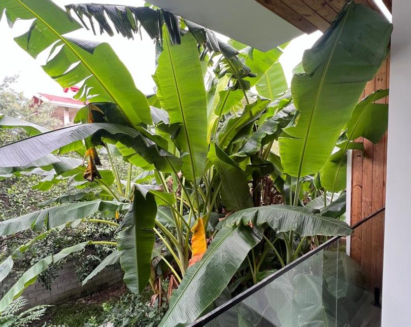 فروش ویلا با معماری مدرن در موقعیت عالی | 300 متر