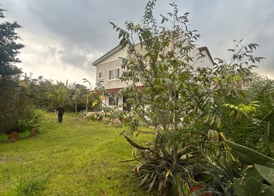 خرید ویلا باغ ۱۲۰۰ متری اقساطی جنگلی بهدشت چمستان | ۱۲۰۰ متر