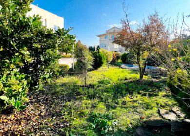 خرید ویلا تریبلکس اسخردار سونا جکوزی 1300 متری | 1300 متر