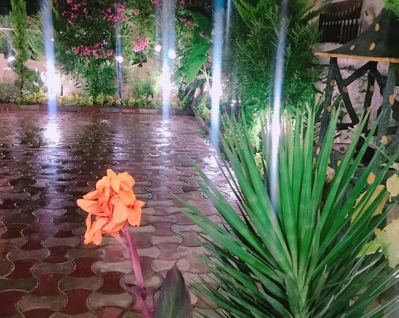 خرید ویلا دوبلکس فول فرنیش با تمام امکانات چسبیده به جنگل | 352 متر