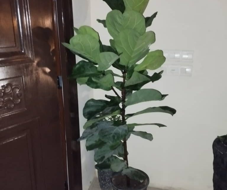 خرید اپارتمان دو خوابه سند تک برگ 104 متری نور | 104 متر