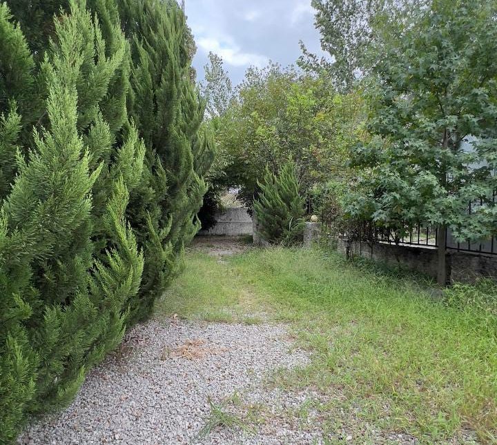 خرید ویلا باغ جنگلی سند تک برگ 500 متری الیمالات چمستان | 500 متر