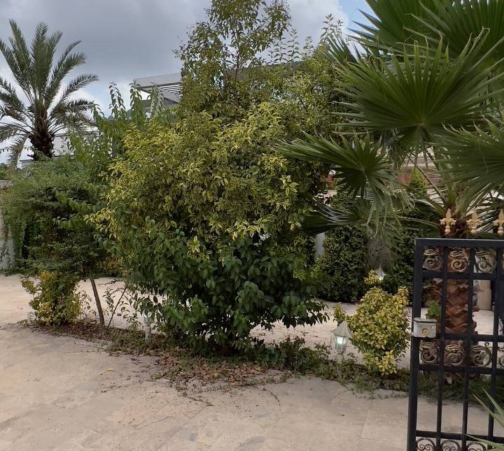 خرید ویلا دوبلکس شیک خوش ساخت فول فرنیش 240 متری | 220 متر