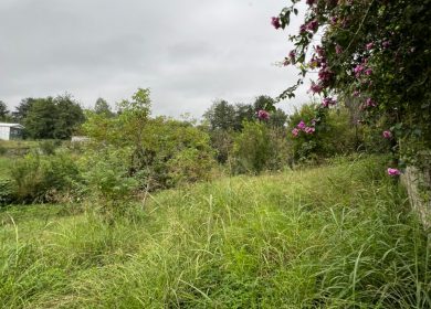 فروش زمین برای ساخت روستایی جنگلی سعادت آباد | ۷۵۰ متر