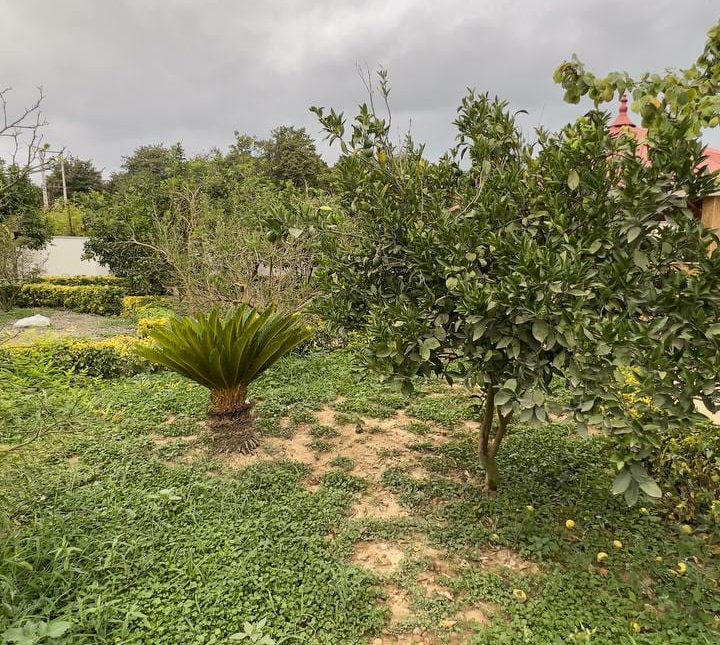 خرید ویلا باغ سه خواب سند شش دانگ 700 متری نور | 700 متر