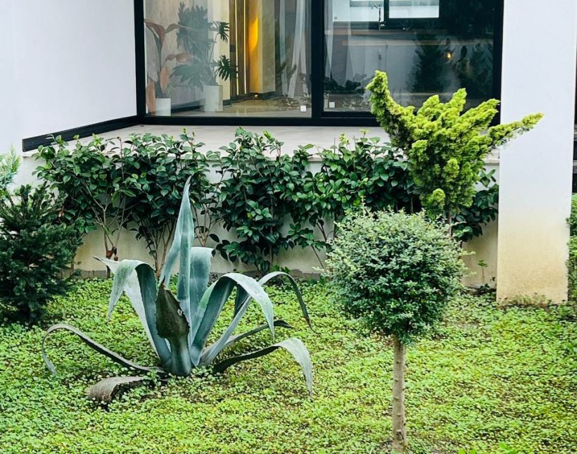 خرید ویلا تریپلکس استخر دار سند تک برگ 320متری | 250 متر