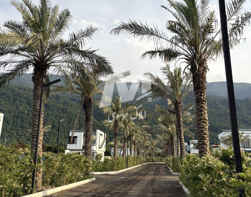 خرید زمین نوشهر ملکار شهرک هیرکانی | 250 متر