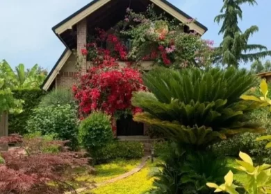 خرید ویلا باغ سرسبز ۴۵۰ متری در منطقه الیمالات نور | ۴۵۰ متر