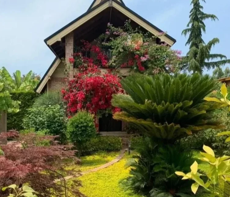 خرید ویلا باغ سرسبز ۴۵۰ متری در منطقه الیمالات نور | ۴۵۰ متر