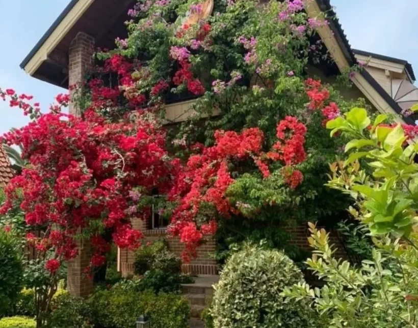 خرید ویلا باغ سرسبز ۴۵۰ متری در منطقه الیمالات نور | ۴۵۰ متر