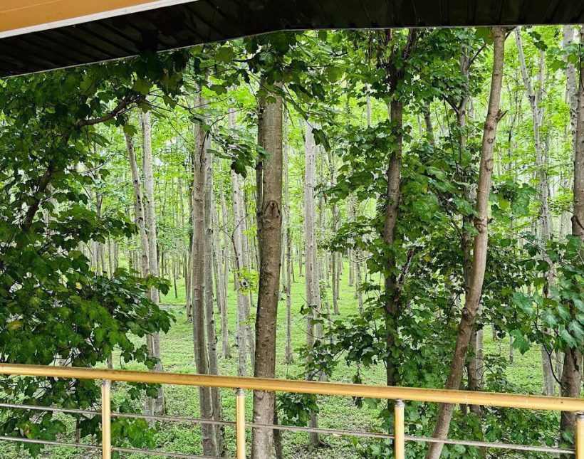 فروش باغ ویلا منطقه سیاه‌کلا چمستان مبله کامل سند شش دانگ | 600 متر