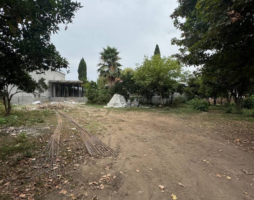 فروش زمین تفکیک شده 3000متری منطقه برند الیمالات نور | 230 متر