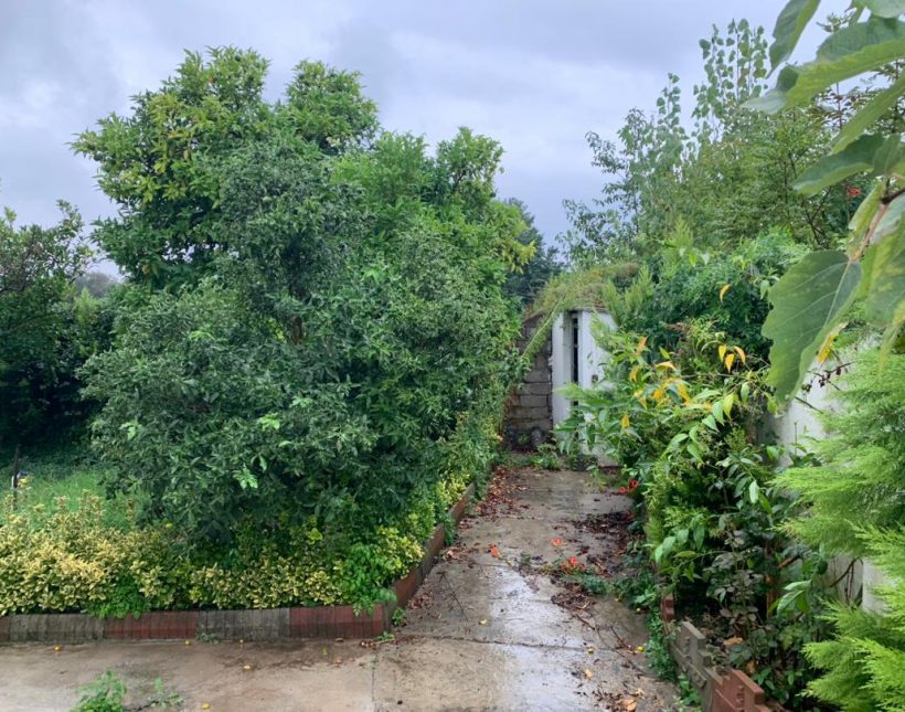 خرید ویلا باغ بازسازی‌شده فول‌فرنیش در ونوش سیسنگان | 475 متر