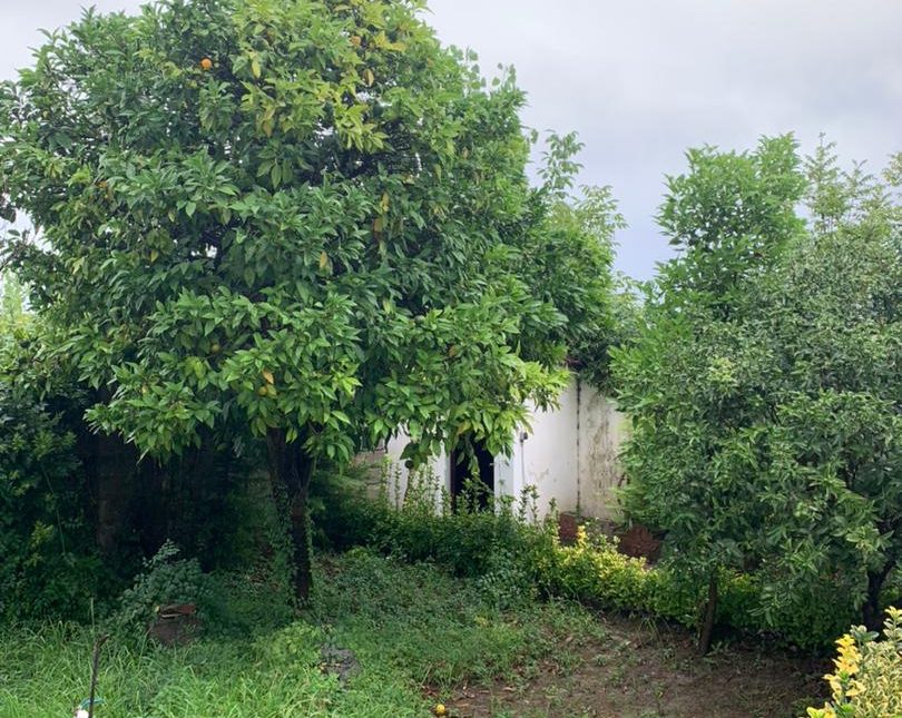 خرید ویلا باغ بازسازی‌شده فول‌فرنیش در ونوش سیسنگان | 475 متر