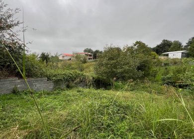 خرید زمین داخل بافت ۷۵۰ متری در سعادت آباد چمستان | ۷۵۰ متر