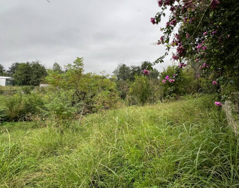 خرید زمین داخل بافت ۷۵۰ متری در سعادت آباد چمستان | ۷۵۰ متر