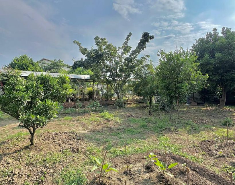 خرید ویلا سعادت آباد چمستان ۲۰۰ متری اقساطی جنگلی | ۲۰۰ متر