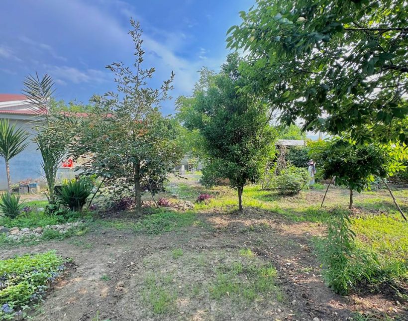 خرید ویلا سعادت آباد چمستان ۲۰۰ متری اقساطی جنگلی | ۲۰۰ متر