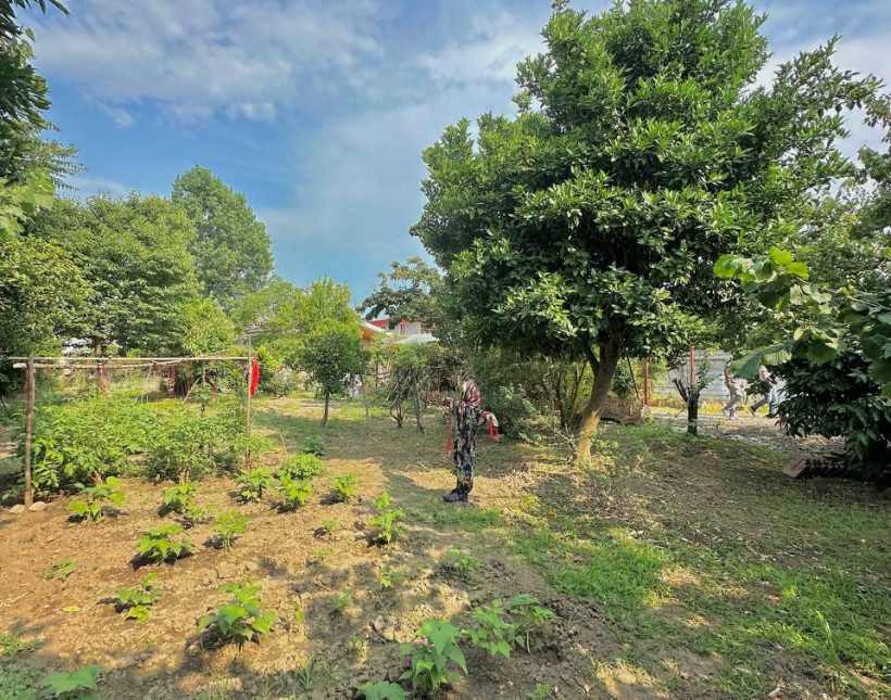 خرید ویلا سعادت آباد چمستان ۲۰۰ متری اقساطی جنگلی | ۲۰۰ متر